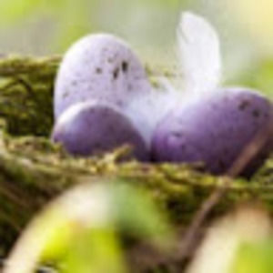 Meet your Posher, Juliana